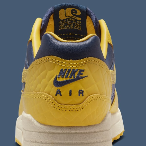 Michigan air sales max 9